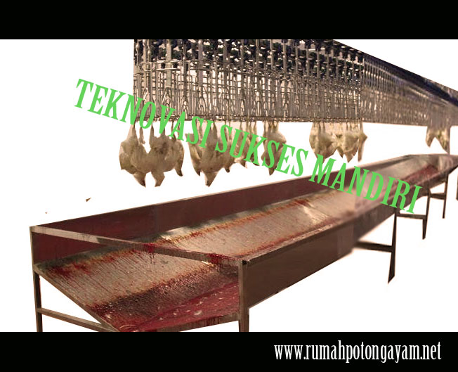 Bak Penampung Darah - Peniris Darah-RPA Untuk Conveyor Kapasitas 500 Ekor/jam