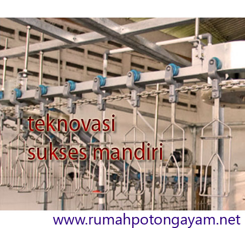 Rumah Potong Ayam dengan Conveyor T-Track