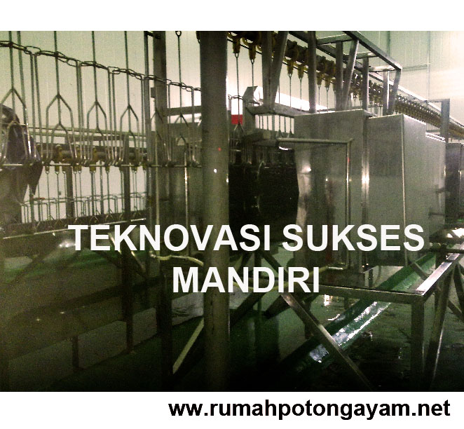 alat pencabut bulu ayam - standing poultry plucker