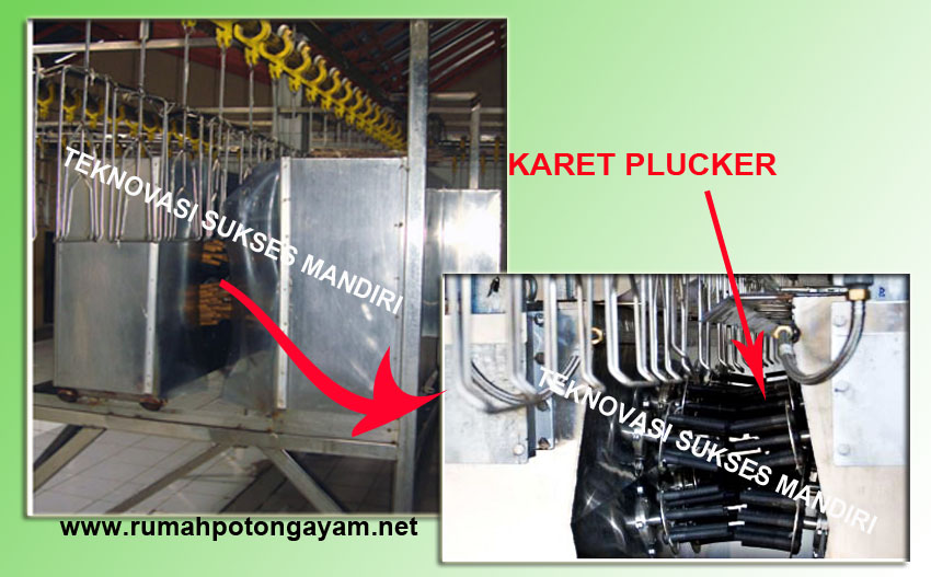 alat pencabut bulu ayam