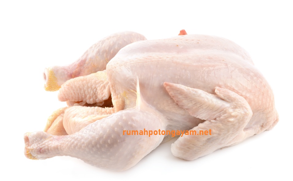 SNI rumah potong ayam SNI rumah potong unggas